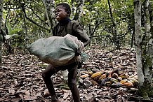 Cacaoculture / Traite des enfants : Nestlé réaffirme son engagement à lutter contre le phénomène